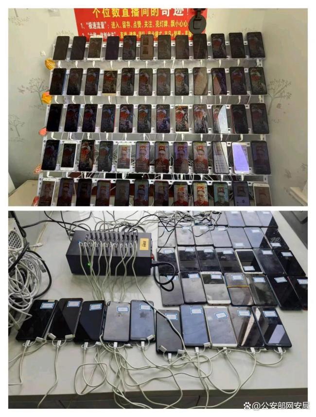 净网2025网警揭露直播间托儿真面目 诈骗团伙落网