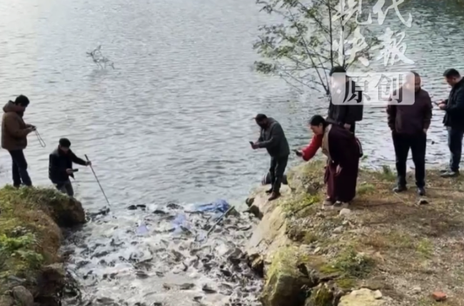 官方回应“都江堰水库被放生万斤埃及塘鲺”：已经打捞，目前已处理完毕