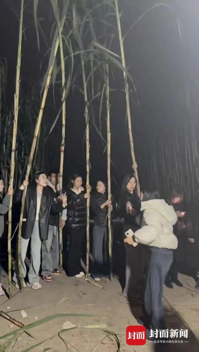 四川眉山“偷甘蔗農(nóng)場(chǎng)”搞笑瞬間 增設(shè)入場(chǎng)費(fèi)應(yīng)對(duì)浪費(fèi)