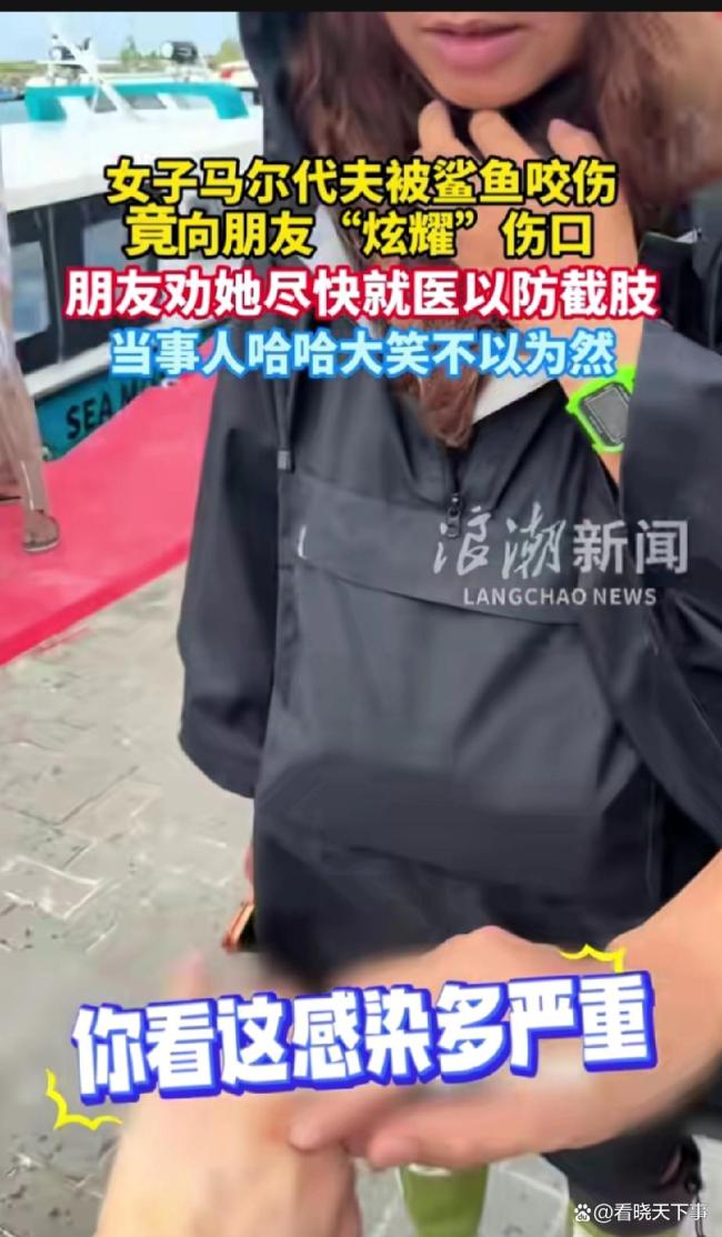 女子在马尔代夫潜水被护士鲨咬伤手臂 生理期冒险追鲨鱼