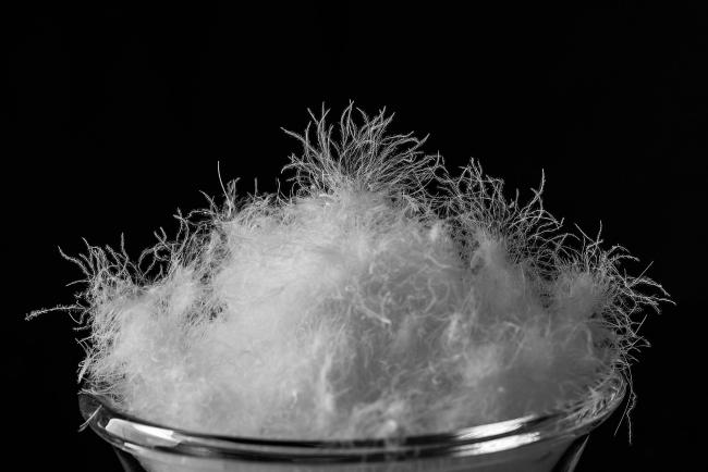 原材料暴涨导致羽绒服越来越贵?揭秘背后真相