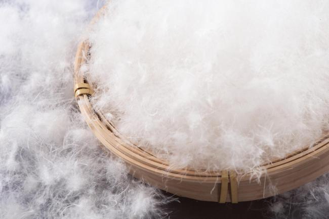 原材料暴漲導(dǎo)致羽絨服越來(lái)越貴？揭秘背后真相