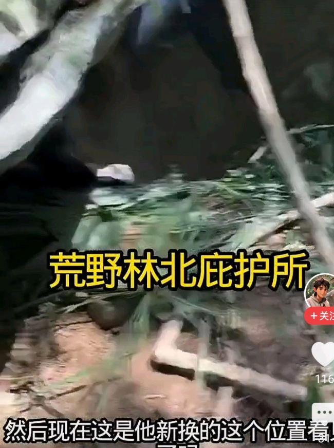 荒野求生決賽5天林北換3處庇護(hù)所 生存挑戰(zhàn)重重