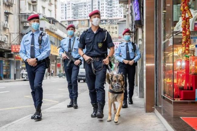 女子赌场结识男子借其10万港元输光 诬告反被捕