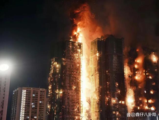 香港消防员火场中救出猫狗 生命无小事