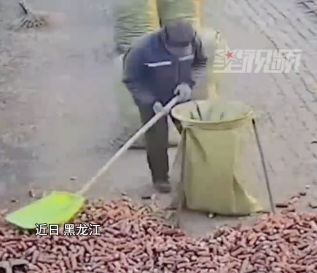 80歲爺爺偷偷干活被抓包