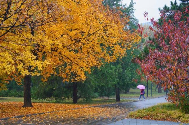300元滑雪服被凍哭的年輕人焊身上了 都市打工人新寵