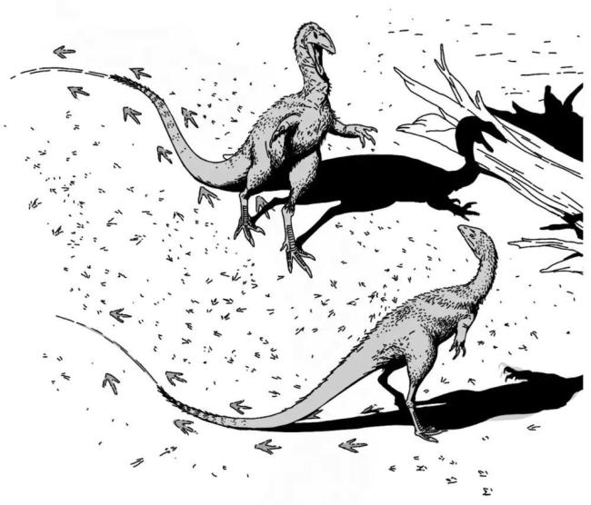 村民用了多年的垫脚石竟是恐龙化石 珍贵足迹揭示侏罗纪秘密