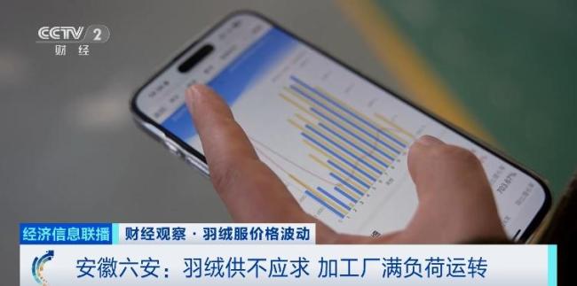 羽绒服大涨价是什么情况 供需变化推高价格