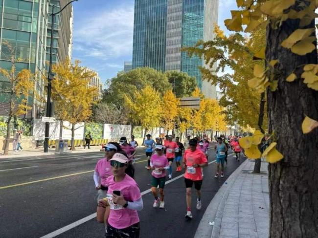 2026年上海马拉松定档12月6日 30周年庆典赛事