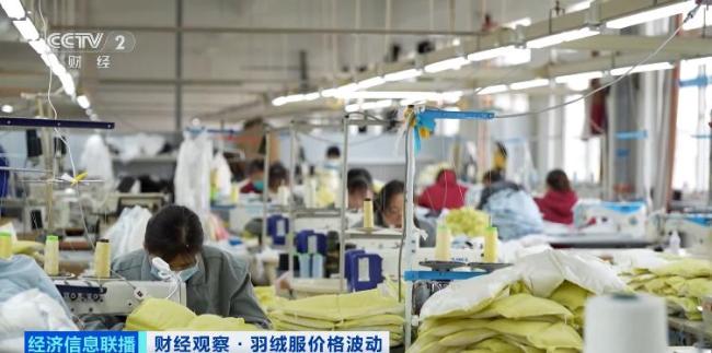 羽绒服为何涨价这么猛 供需关系推动价格上升