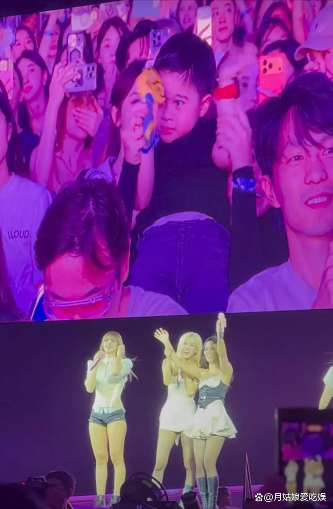 王思聰新加坡看BLACKPINK演唱會(huì) 山頂票區(qū)社恐低頭