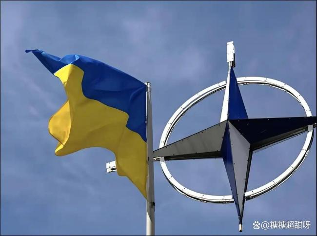 評論員:歐洲早已陷入兩難困局 金融信譽(yù)與戰(zhàn)場支援的抉擇