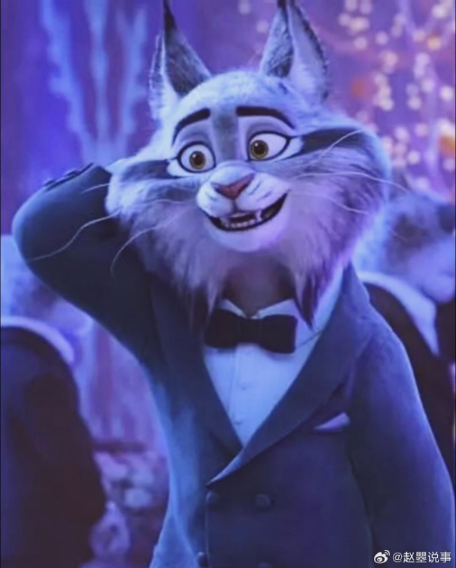 一夜间所有的缅因猫都在被盘问 自带警长滤镜