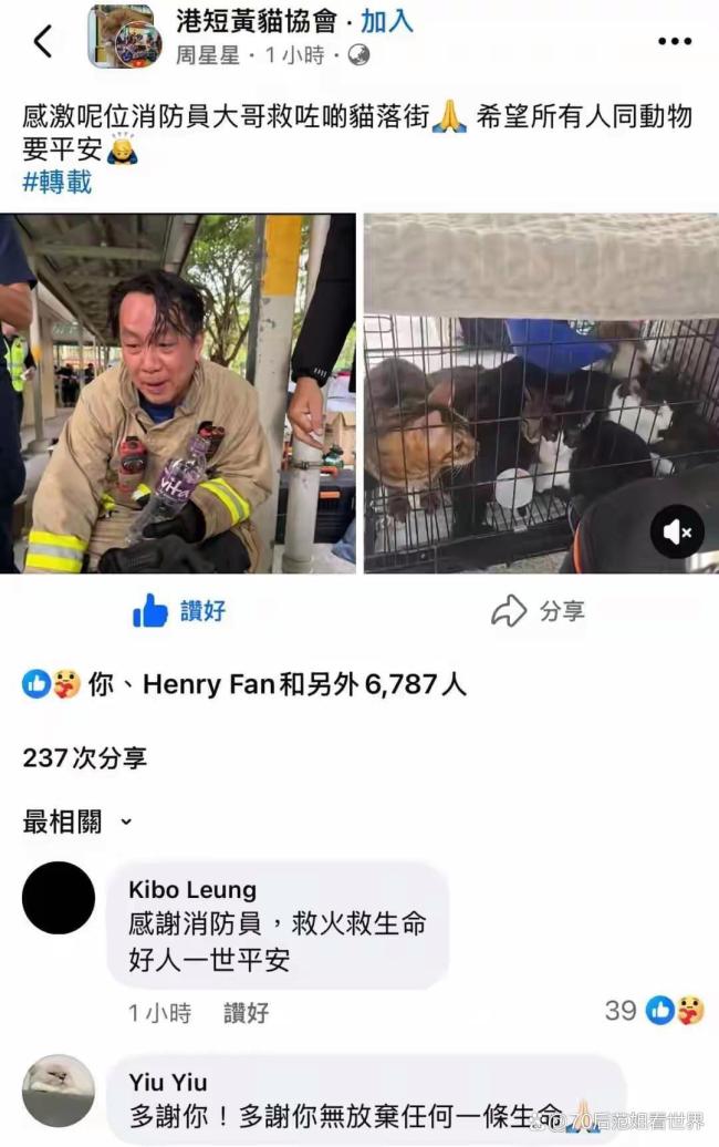 香港大埔火灾消防员救出被困狗狗 生命无贵贱，温情救援感动人心