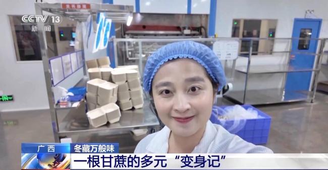 揭秘广西甘蔗的甜蜜产业链 科技赋能产业革新