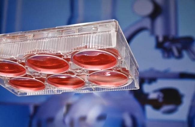 钧正平：谁在为日本军国主义“招魂” 复活的幽灵再现