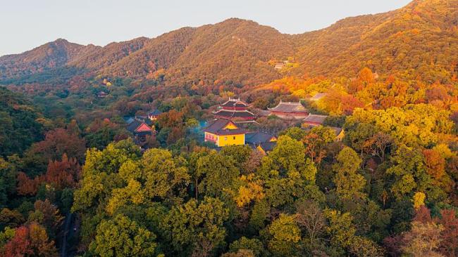 多地宣布免費、半價 別錯過這些錯峰旅游福利