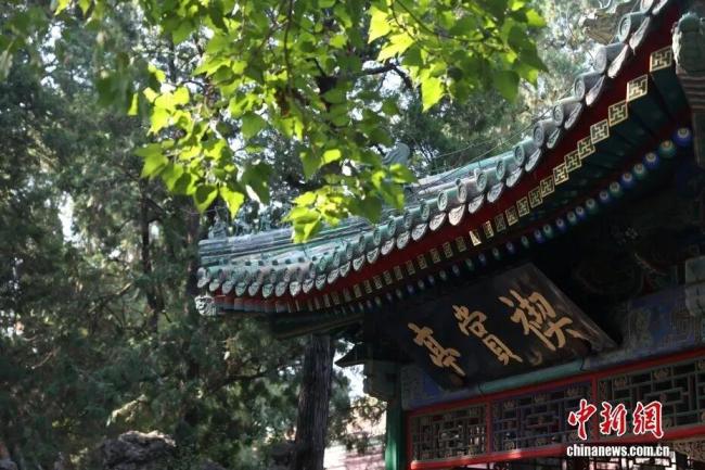 马克龙为何参观“乾隆花园” 中法文化交流新篇章