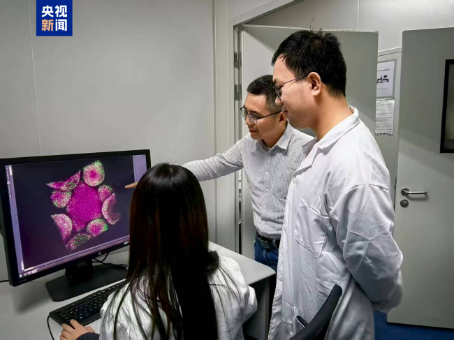 科研新突破!中国科学家破解植物再生密码