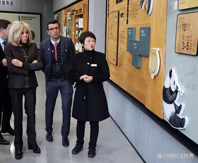 法国第一夫人亲自当大熊猫圆梦教母 熊猫情缘续写新篇章