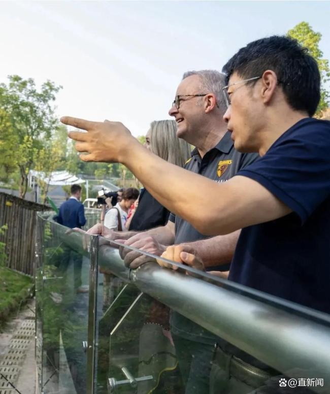 马克龙夫人认出在法出生的熊猫胖了 中法友谊见证者