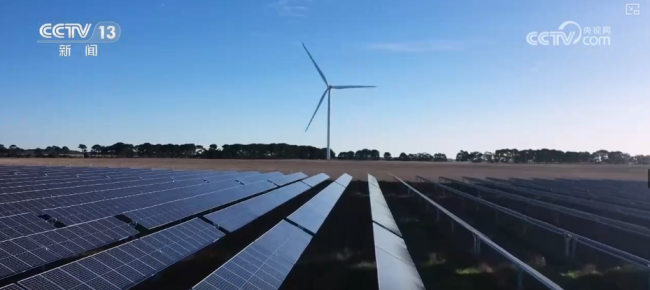 中国风电加速“出海” 引领全球发展