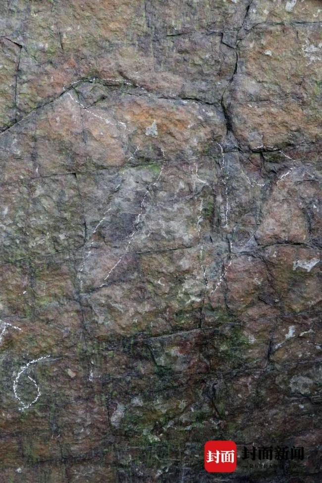 都江堰首次发现2亿年前恐龙足迹 揭开古生物秘密