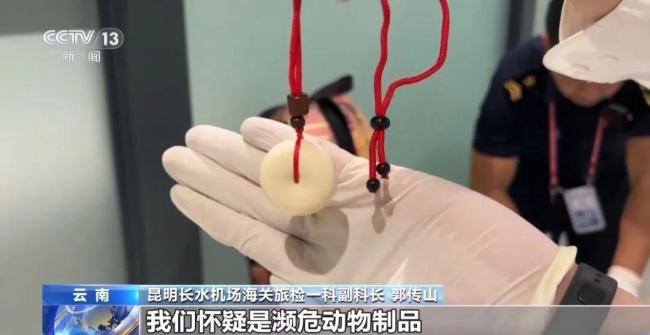 女子裤子内藏2斤多活虫入境被查 人体夹藏活虫案引发关注