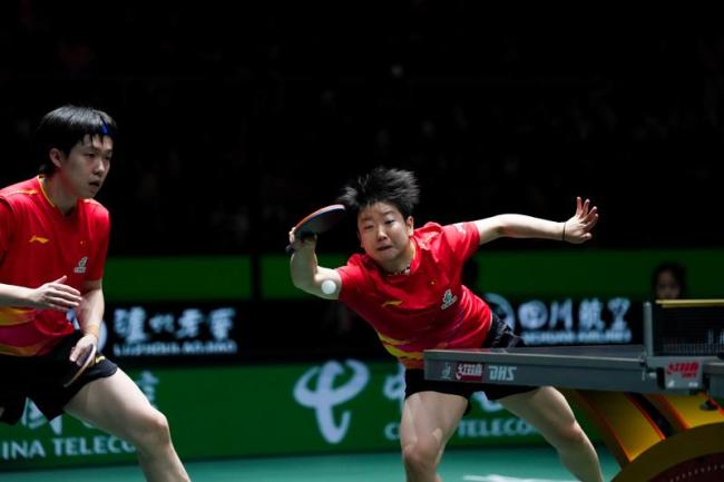 陪看王楚欽孫穎莎出戰(zhàn)乒聯(lián)世界杯