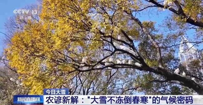 “大雪不冻倒春寒”的气候密码