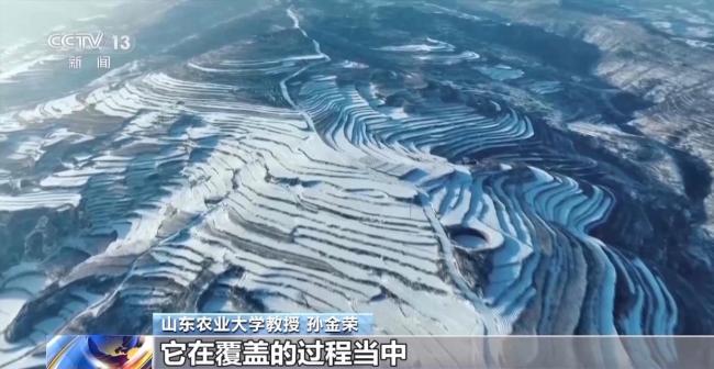 “大雪不冻倒春寒”的气候密码 古人智慧与现代科学的交汇