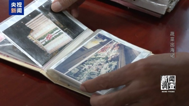 “蔬菜出口第一縣”做對了什么？安丘30年逆襲路！