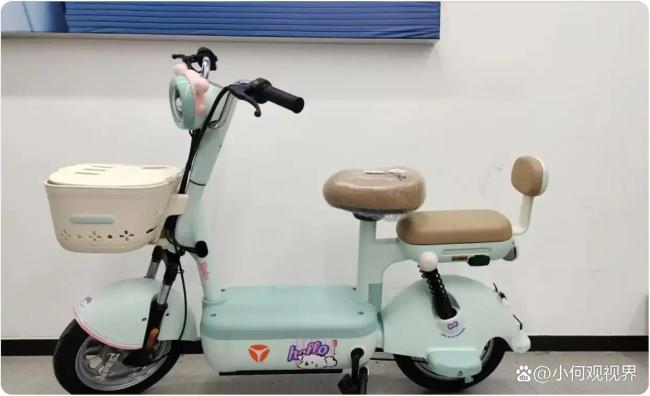 買新國標電動自行車豐儉由人 生活便利何去何從