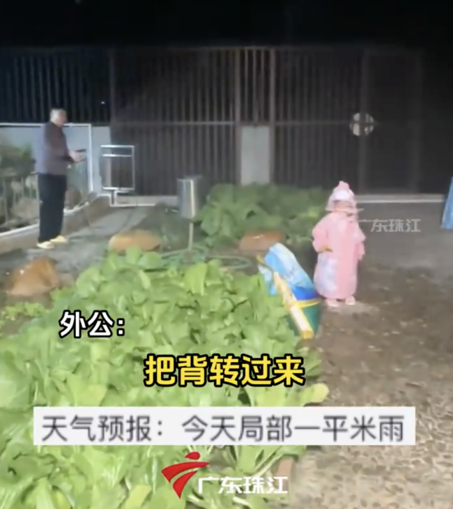 外公為孫女試穿雨衣“人工降雨”