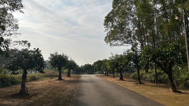 有價(jià)無(wú)猴 實(shí)驗(yàn)猴價(jià)格暴漲 供需缺口持續(xù)擴(kuò)大