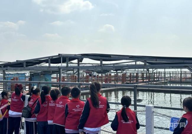 长江禁渔5年新增36种鱼 长江禁渔5年见成效