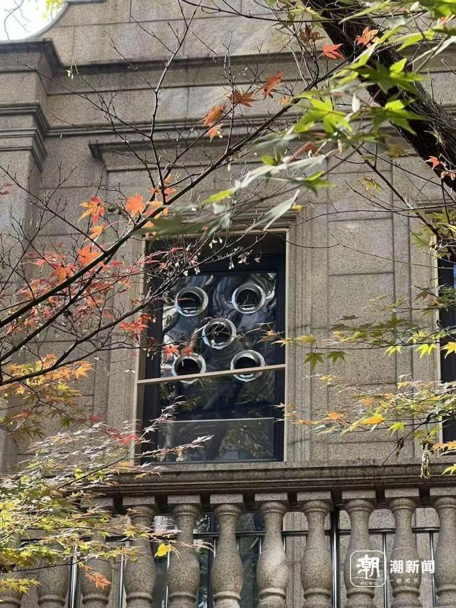 杭州一小區(qū)業(yè)主抵制寵物醫(yī)院 擔憂孩子健康安全