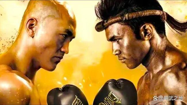 一龙透露再战播求最新时间计划！预计2026年五一或十一