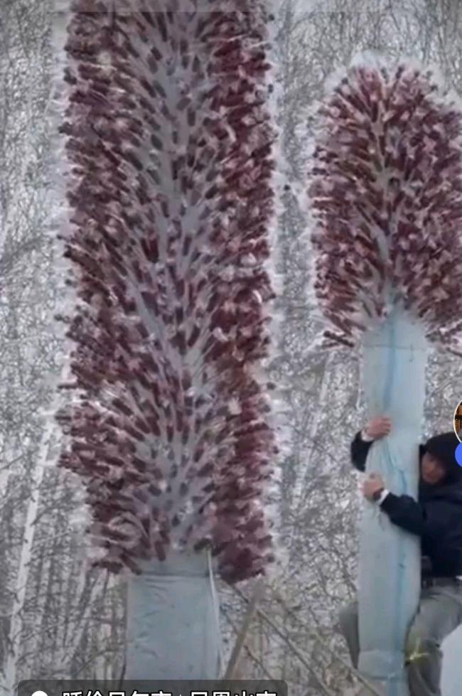 牙克石人都這么吃糖葫蘆嗎 冰雪旅游新潮流