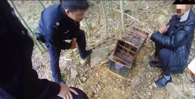 傷亡慘重！兩派蜜蜂打起來(lái)了 蜂群爭(zhēng)斗引發(fā)賠償糾紛