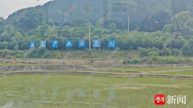 養(yǎng)殖戶貸款養(yǎng)羊被騙損失近百萬(wàn) 信任破滅投資夢(mèng)碎