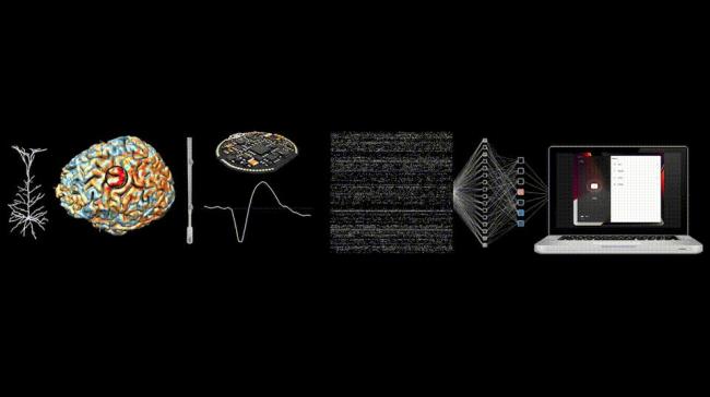 馬斯克“開顱插針”首破1.5秒 手術(shù)機(jī)器人效率驚人