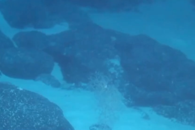 "海洋地質(zhì)六號(hào)"發(fā)現(xiàn)了哪些深海寶藏？獨(dú)家畫面公布