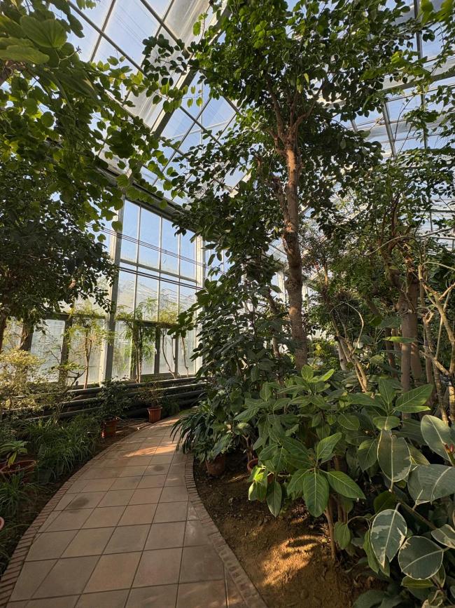 超適合冬日遛娃，北京室內“熱帶雨林”攻略請收好 溫暖景美親子游