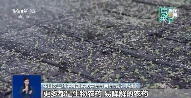 反季節(jié)蔬菜吃了等于白吃？假的 粉碎謠言，真相來了