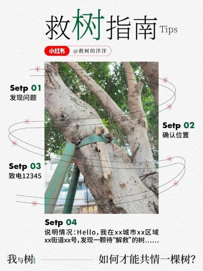 成都小伙為一棵樹撥打12345 小小舉動(dòng)溫暖全網(wǎng)