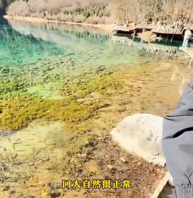 男子把玉米扔九寨溝水 游客怒斥其污染環(huán)境