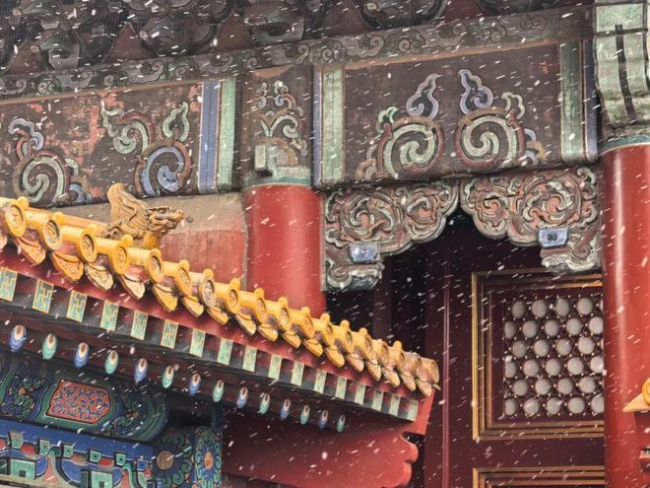 天津终于下雪了 全市迎来首场降雪