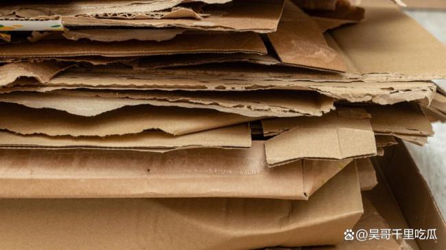 殘疾奶奶被推倒事件后續(xù)